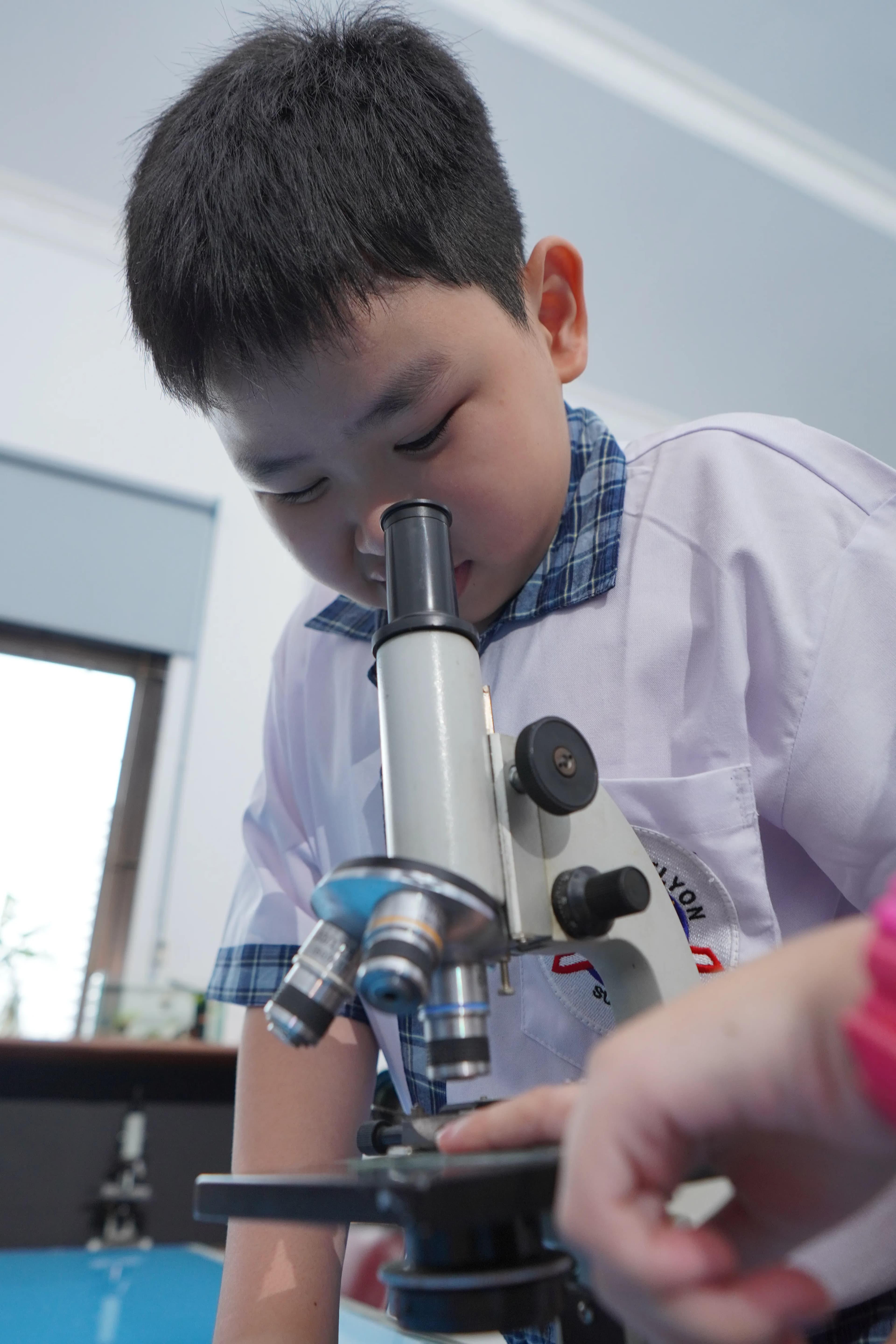 Primary school experience 2