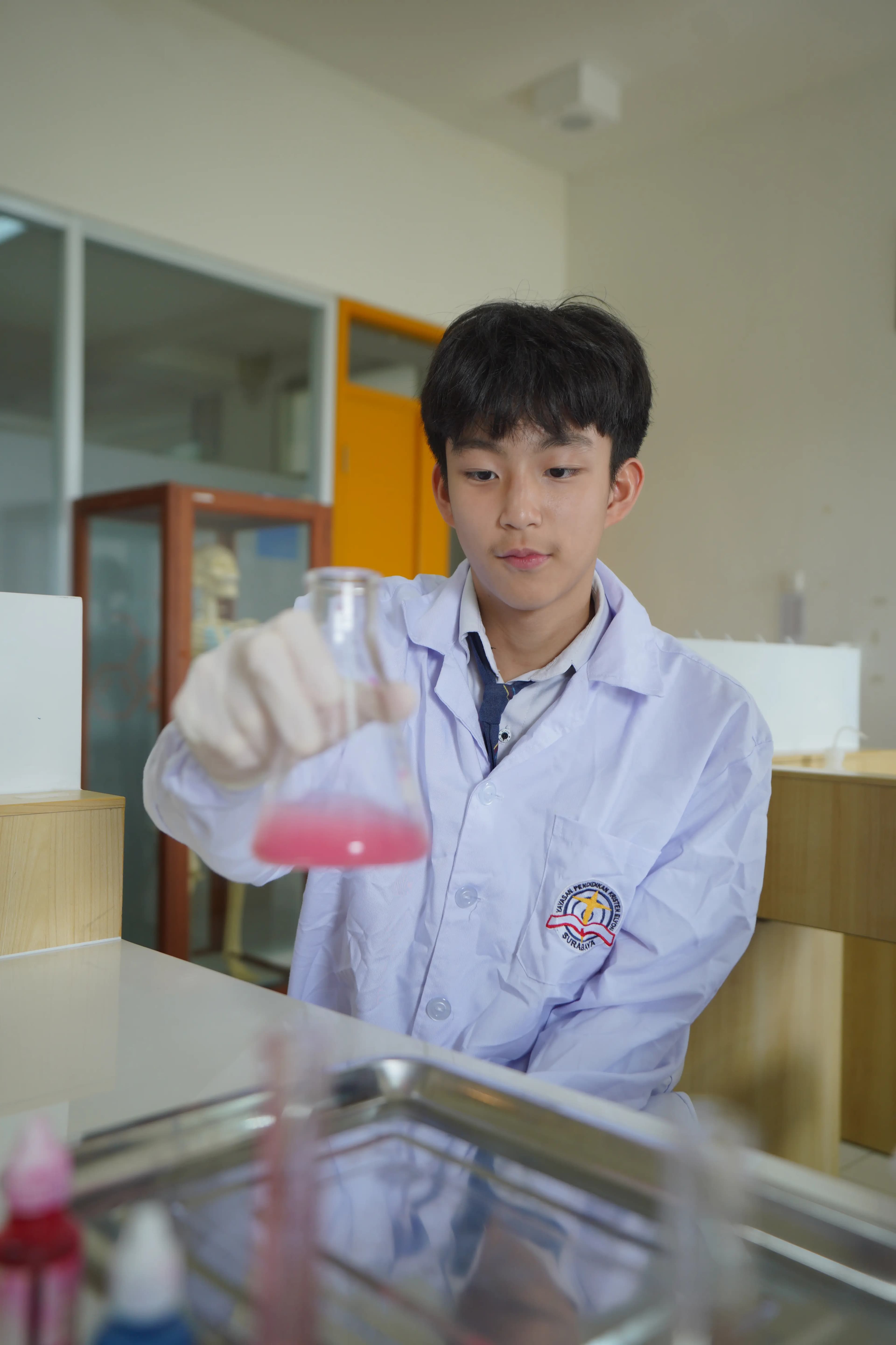 Secondary school experience 1